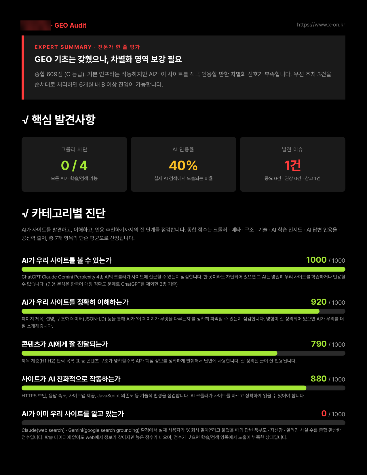 GEO Audit 리포트 샘플 3페이지